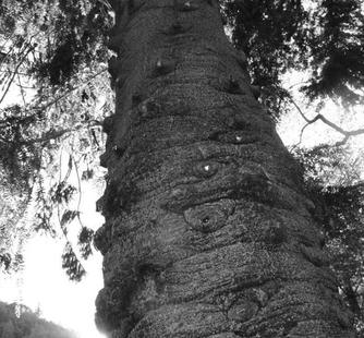"From Within, So Without" (2010) by Ali Naschke-Messing